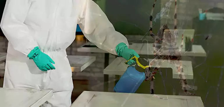 Why Buyers Still Want Homes With Pest Infestations in San Juan, PR?