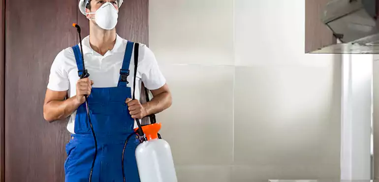 Why San Juan Homeowners Choose Us When Pests Make Selling Difficult