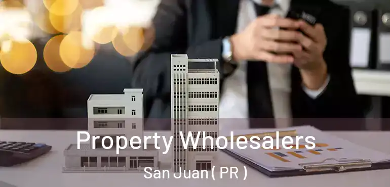  Property Wholesalers San Juan ( PR )